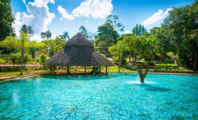Rio Quente Eco Chalés | Caldas Turismo